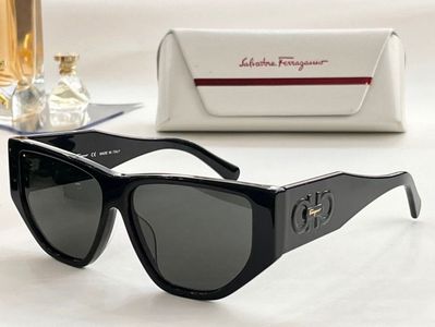 Salvatore Ferragamo Sunglasses 235